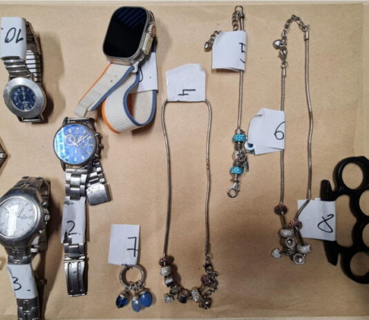 VLOM: Vlomilec, ki je povzročil 15.000 evrov škode v priporu