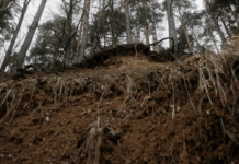 Obilne padavine na območju Goriških brd in Tolmina povzročile kaos: Zaradi plazu zaprta cesta