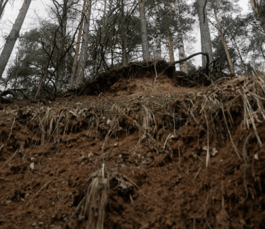 Obilne padavine na območju Goriških brd in Tolmina povzročile kaos: Zaradi plazu zaprta cesta