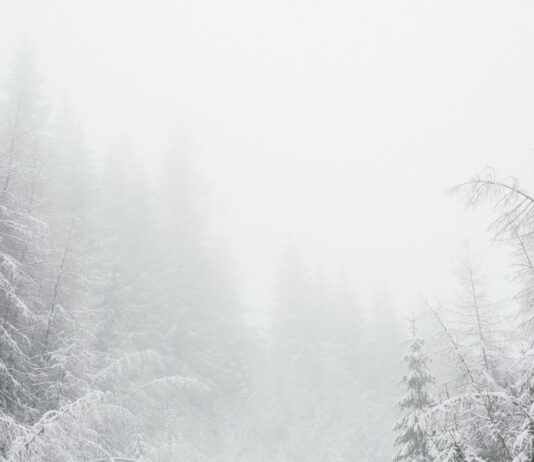 Prva snežna pošiljka v Slovenijo! Kdaj in kje bo zapadlo?