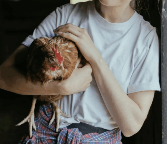 Predsednica republike naj z Redom za zasluge odlikuje Zvezo kmetic Slovenije