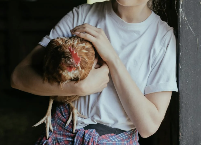 Predsednica republike naj z Redom za zasluge odlikuje Zvezo kmetic Slovenije