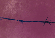 Muzejski torkov večer na Gradu Kromberk: Poklon Bojani Pavšič in ženskim glasovom iz taborišč