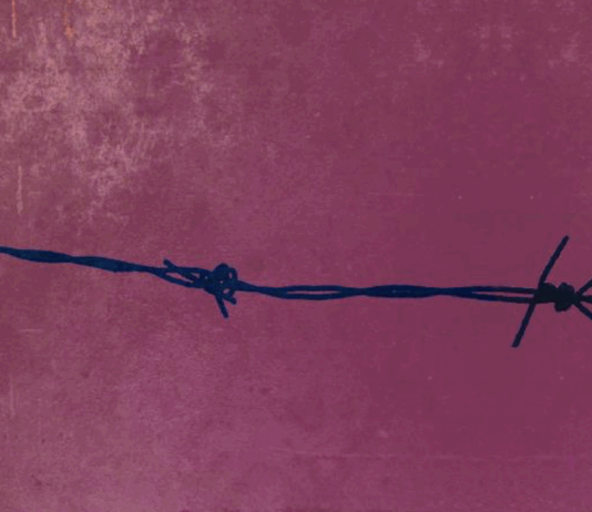 Muzejski torkov večer na Gradu Kromberk: Poklon Bojani Pavšič in ženskim glasovom iz taborišč